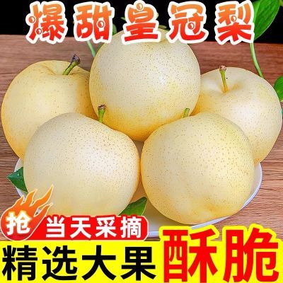 河北皇冠梨正宗应季新鲜水果薄皮鲜脆整箱批发包邮优惠商品图片