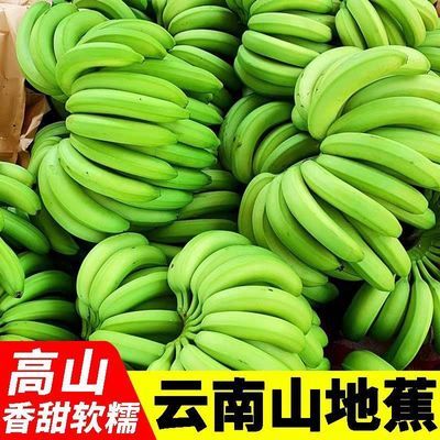 9-10斤云南高山大香蕉新鲜应季水果青皮香蕉大果超甜自然催熟
