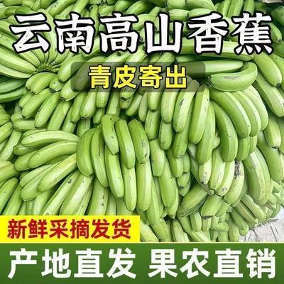带箱9-10斤【超好吃】农家自种云南高山香蕉青皮香蕉薄皮香蕉整箱