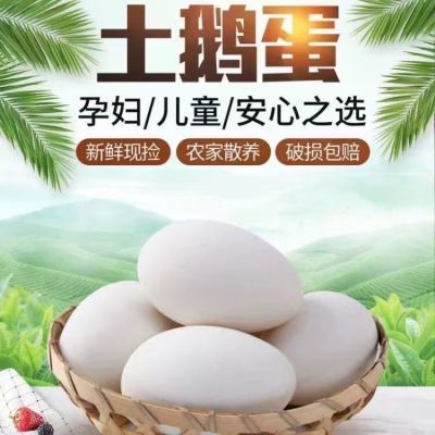 新鲜鹅蛋正宗农家散养纯天然土鹅蛋新鲜鹅蛋孕妇宝宝可吃初生鹅蛋