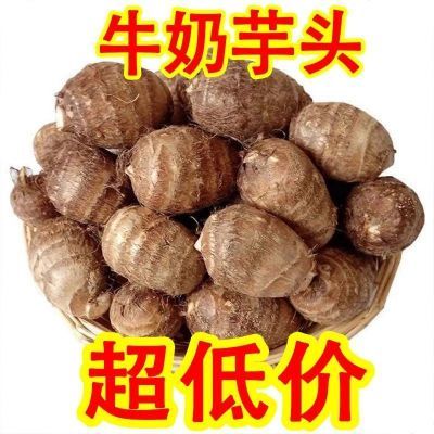 正宗云南牛奶芋头新鲜软糯现挖现发奶香小芋头芋艿芋籽香糯香芋艿