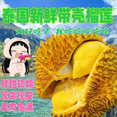 【鲜果带壳】泰国榴莲进口金枕头榴莲新鲜水果香甜一整个新鲜榴莲优惠商品图片