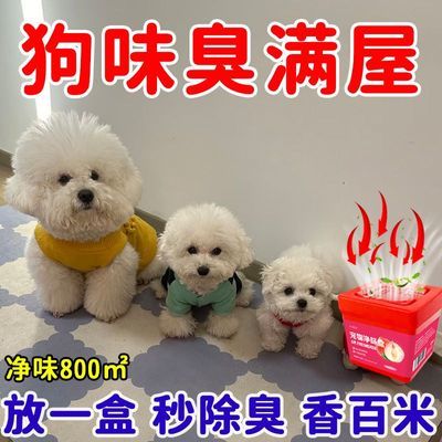【分解异味】宠物净味盒仓鼠金丝熊除臭剂杀菌除臭尿骚味臭味体味优惠商品图片
