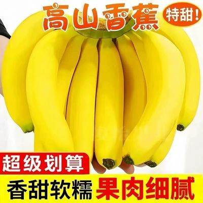 带箱9-10斤云南高山当季正宗青皮香蕉甜糯新鲜薄皮现摘水果天然