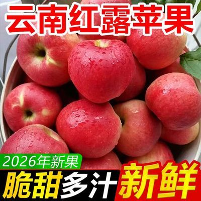 正宗云南昭通红露苹果丑产地冰糖心新鲜水果当季脆甜批发孕妇整箱
