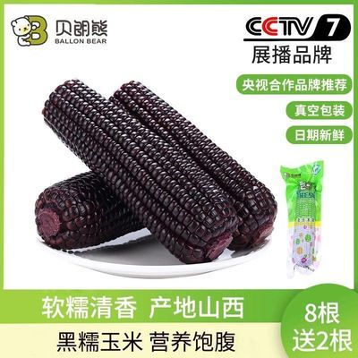 软糯清香黑糯玉米产地山西真空包装营养饱腹送人自吃皆宜优惠商品图片