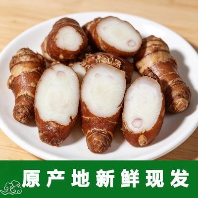 正宗红皮白肉新鲜沙姜椰子鸡配料山奈白切鸡专用个大浓香包邮特产优惠商品图片