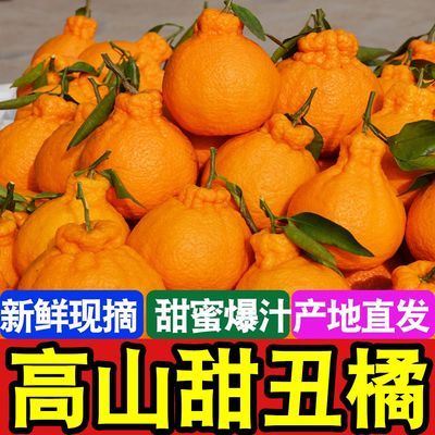 爆甜超好吃】四川丑橘耙耙柑春见粑粑柑当季新鲜水果桔子薄皮橘子