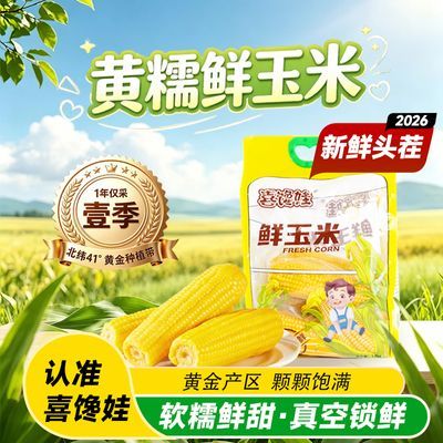 头茬内蒙古喜馋娃黄糯玉米1.8kg真空包装非转基因甜糯加热即食