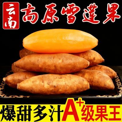 云南天山雪莲果黄心长果新鲜应季水果红心批发整箱特级无糖雪莲果