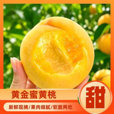 【蒙阴】正宗山东纯甜黄毛桃纯黄桃新鲜水果脆软黄金毛桃优惠商品图片