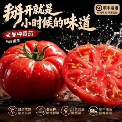 【顺丰包邮】云南老品种马蹄番茄酸甜口感狮子头番茄丑番茄