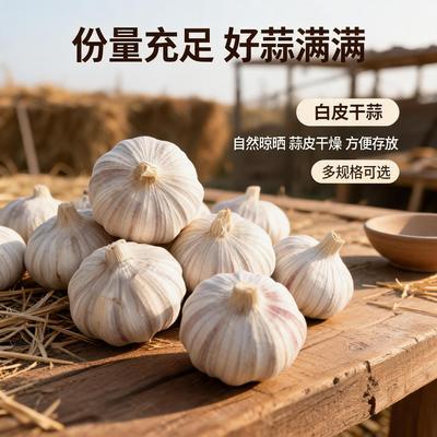 便宜好蒜自然晾晒白皮干蒜方便存放2026大号大蒜头新鲜好蒜优惠商品图片