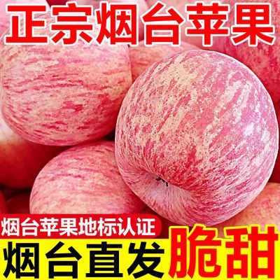 【地标认证】正宗烟台苹果脆甜红富士苹果新鲜苹果水果批发彩箱装优惠商品图片