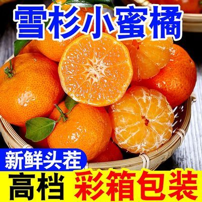 【现货当天摘】正宗雪杉小蜜橘子超甜当季新鲜水果无籽青皮蜜桔子