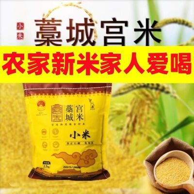 寿之本藁城宫米河北特产农家黄小米5斤装新米小米粥新米小黄米