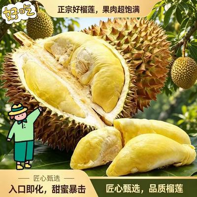 现货泰国正宗新鲜枕头金枕巴掌榴莲当季鲜果水果进口整个香甜带壳