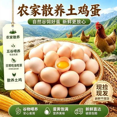 精选散养鸡蛋虫草谷物农村包邮正宗孕妇农家整箱新鲜营养批发优惠商品图片