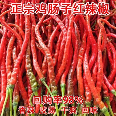 正宗鸡肠子红辣椒新鲜中辣鸡肠红鸡爪子辣椒长线椒剁椒酱晒干辣椒