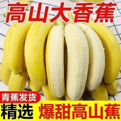 云南高山青皮香蕉正宗应季当季现摘自然熟青皮整箱新鲜纯天然水果