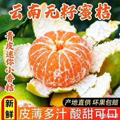 【小香橘】云南现摘蜜桔无籽薄皮橘子青皮蜜橘新鲜酸甜水果孕妇