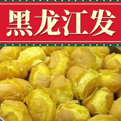 大东北尤金885黄皮黄瓤土豆马铃薯沙面批发正宗东北特产面面面面