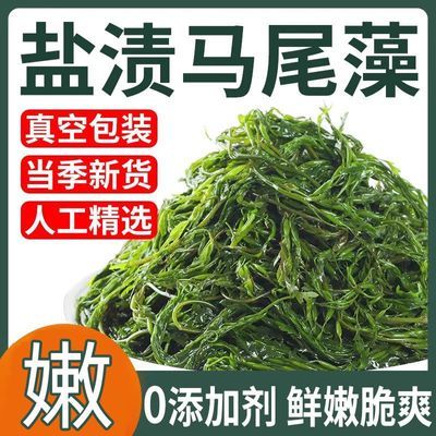 5斤鞭炮笋马尾藻原料凉拌长寿菜非海带丝火锅食材非即食原料菜优惠商品图片