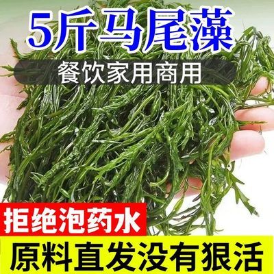 5斤鞭炮笋马尾藻原料凉拌长寿菜非海带丝火锅食材非即食原料菜优惠商品图片