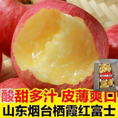 正宗山东烟台栖霞红富士脆酸甜苹果新鲜栖霞苹果酸甜批发红富士优惠商品图片
