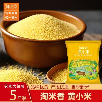 正宗东北黄小米5斤新米上市金黄饱满米香浓米油厚五谷杂粮批发价优惠商品图片