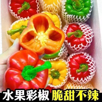 山东新鲜五彩椒寿光柿子椒彩椒灯笼椒不辣水果甜椒蔬菜五彩椒商用