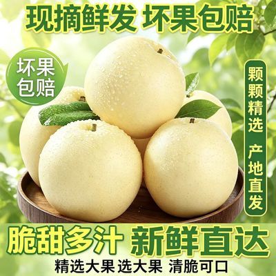 【正宗皇冠梨】新鲜水果青梨现摘甄选当季鲜果老树梨子批发