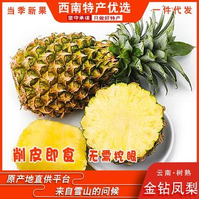 正宗云南树熟金钻凤梨应季爆甜孕妇水果新鲜菠萝大果田园直发包邮优惠商品图片