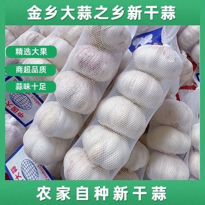 山东金乡特产今年新大蒜干蒜紫白皮多瓣农家蒜批发大蒜批发优质