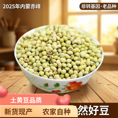 农家（小颗粒）黑脐青皮老黄豆非转基因打豆浆做豆腐儿时味道