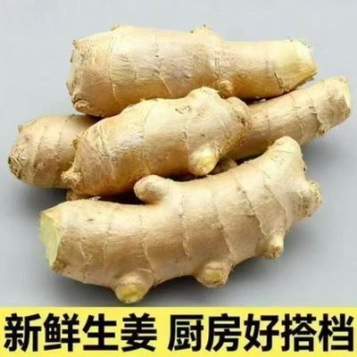 【特级山东风干姜】大姜生姜风新鲜无泥大块老姜月子姜块整箱批发优惠商品图片