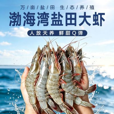 【渤海湾盐田虾】活冻盐田虾3斤 鲜活捕捞冷冻生鲜海鲜水产优惠商品图片