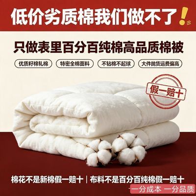 百百纯棉全棉高品质新疆棉花被夏凉被春秋被特厚被优质纯棉被