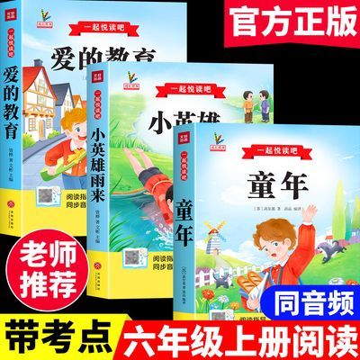 快乐读书吧六年级上册人教版全套3册童年爱的教育小英雄雨来阅读