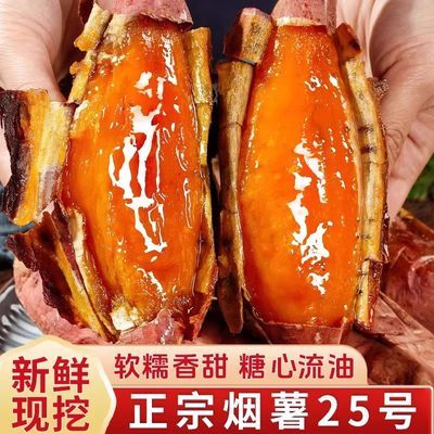 新鲜农家红薯正宗山东烟薯沙地25蜜薯糖心流油地瓜番薯一整箱