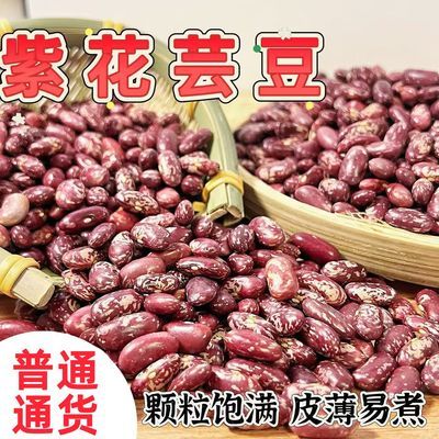 东北紫花芸豆2025年颗粒饱满皮薄易煮