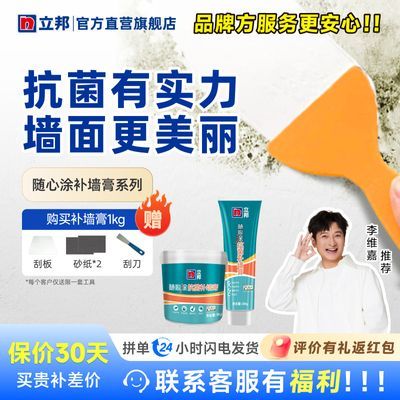 【立邦】补墙膏抗菌款白色室内墙面修补膏腻子膏修复净味防水防霉环保
