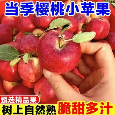 正宗云南甜心樱桃小苹果红露冰糖心小个苹果现摘当季孕妇脆甜水果优惠商品图片