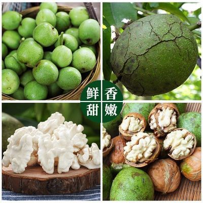 新鲜现摘云南青皮新鲜湿核桃嫩核桃孕妇生核桃绿皮薄皮现摘优惠商品图片