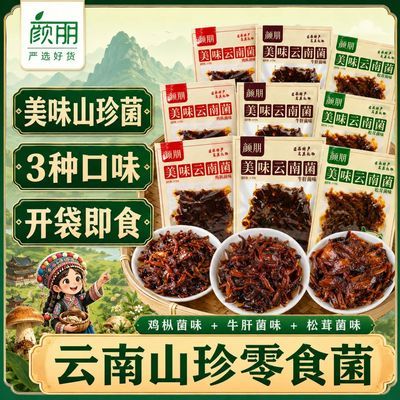 云南即食菌子山珍菌风味零食鸡枞松茸牛肝菌油炸菌菇独立包装小吃