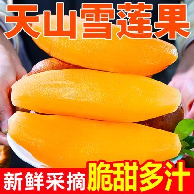 新鲜雪莲果云南天山正宗应季黄心新鲜水果当季脆甜批发产地直发优惠商品图片
