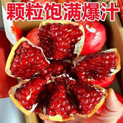 【彩箱】四川正宗会理突尼斯软籽石榴整箱孕妇现摘当季新鲜水果