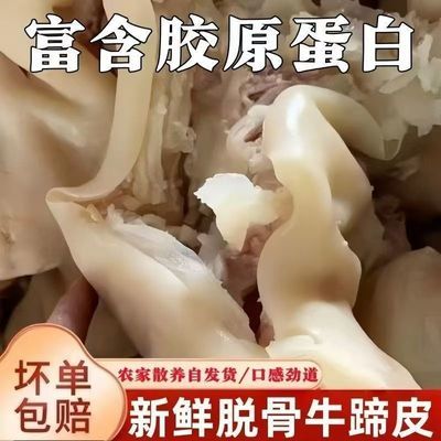 正宗散养黄牛牛蹄皮新鲜清真牛筋牛蹄筋汤肉类食材剔骨剃筋牛蹄皮优惠商品图片