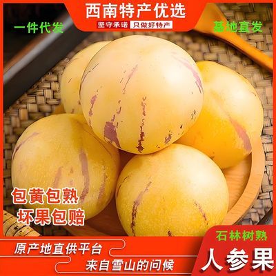 正宗树上熟云南石林人参果圆果低糖黄心黄果黄肉当季孕妇水果包邮