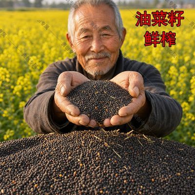 【新鲜品质】正宗5升菜子油%压榨非转基因零添加调和五谷养生3斤